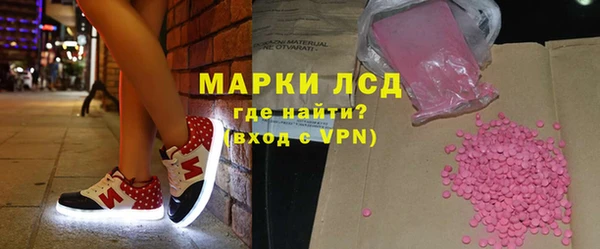 прущие грибы Коряжма