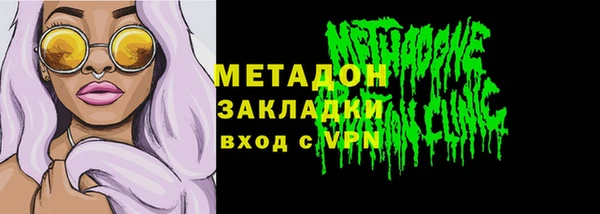 прущие грибы Коряжма