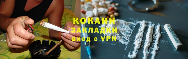 прущие грибы Коряжма