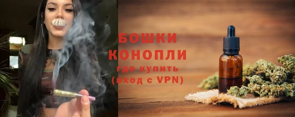 прущие грибы Коряжма