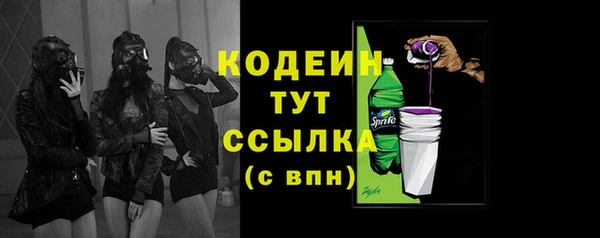 прущие грибы Коряжма