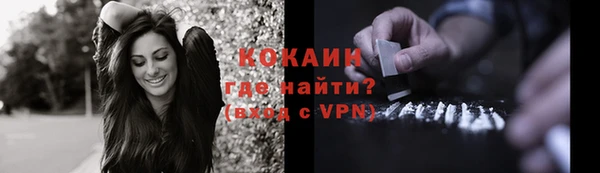 прущие грибы Коряжма