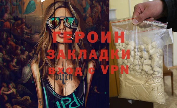 прущие грибы Коряжма