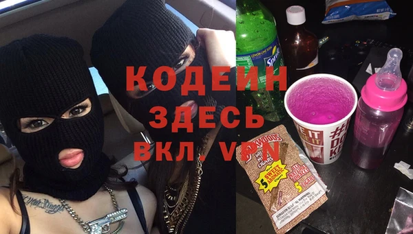 прущие грибы Коряжма