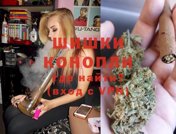 прущие грибы Коряжма