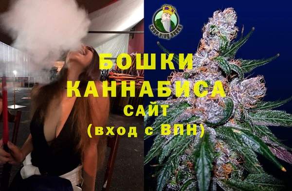 прущие грибы Коряжма