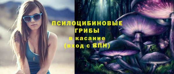 прущие грибы Коряжма