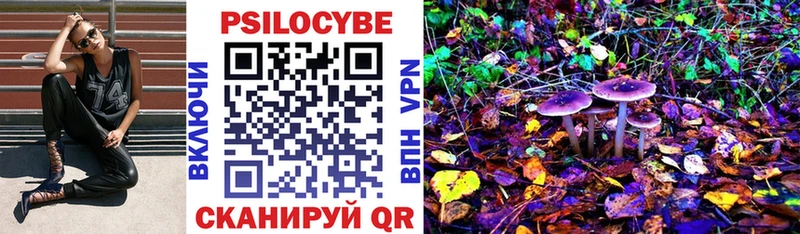 Галлюциногенные грибы Psilocybe  Купить где  Верхняя Тура 