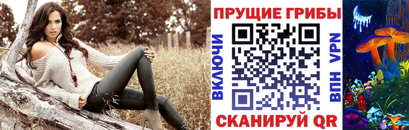 Псилоцибиновые грибы Cubensis Верхняя Тура